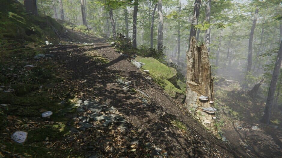 Скриншот 7 из Mushroom Collector Simulator