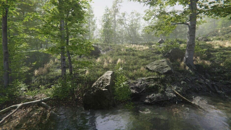 Скриншот 8 из Mushroom Collector Simulator