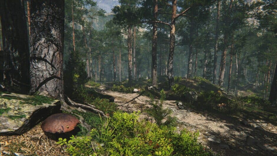 Скриншот 6 из Mushroom Collector Simulator