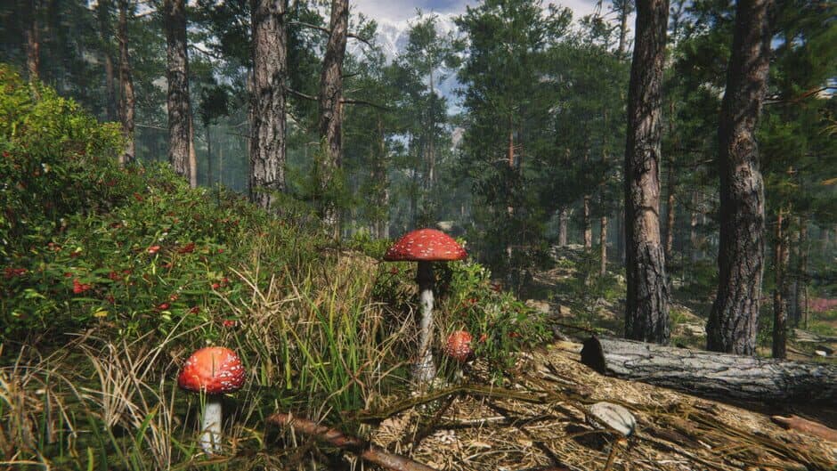 Скриншот 4 из Mushroom Collector Simulator