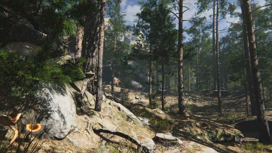 Скриншот 3 из Mushroom Collector Simulator