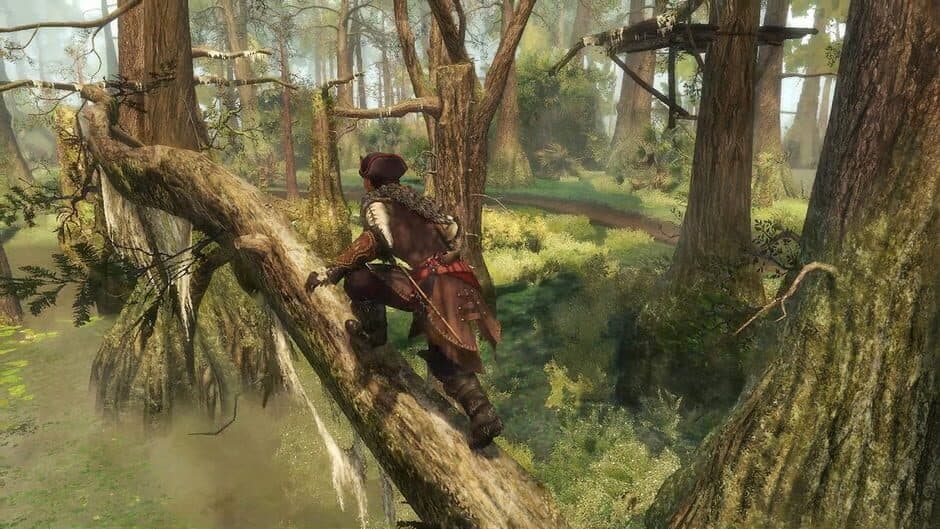 Скриншот 12 из Assassin's Creed III Remastered