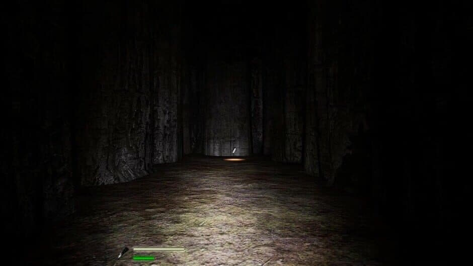 Скриншот 3 из Labyrinthian: Lost 'til Dawn