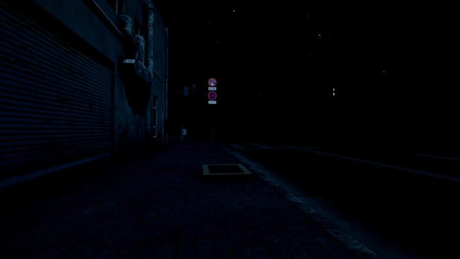 Скриншот 3 из The Night Way Home
