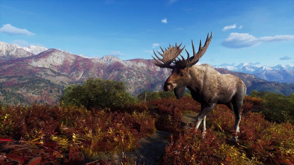 Скриншот 4 из Way of the Hunter: Aurora Shores