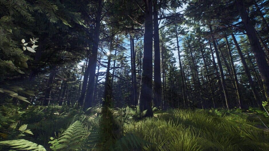Скриншот 8 из Way of the Hunter: Aurora Shores
