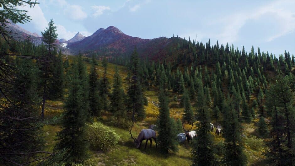 Скриншот 9 из Way of the Hunter: Aurora Shores