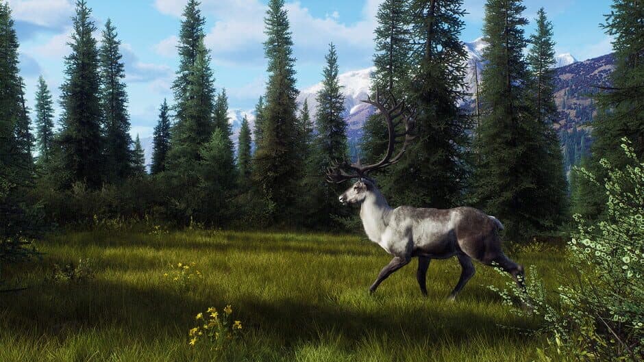 Скриншот 2 из Way of the Hunter: Aurora Shores