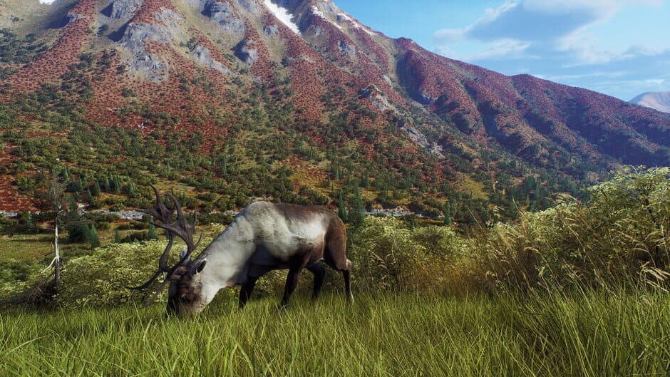 Скриншот 3 из Way of the Hunter: Aurora Shores