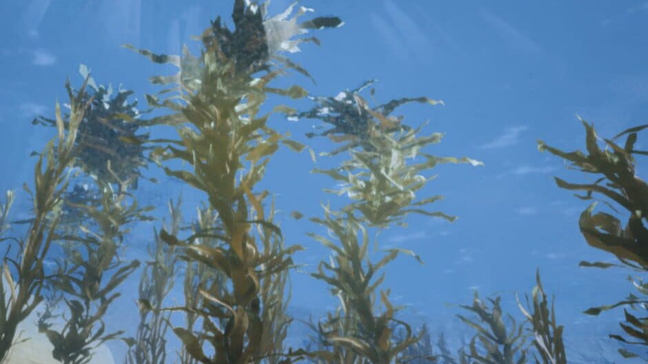 Скриншот 3 из My Ocean Project