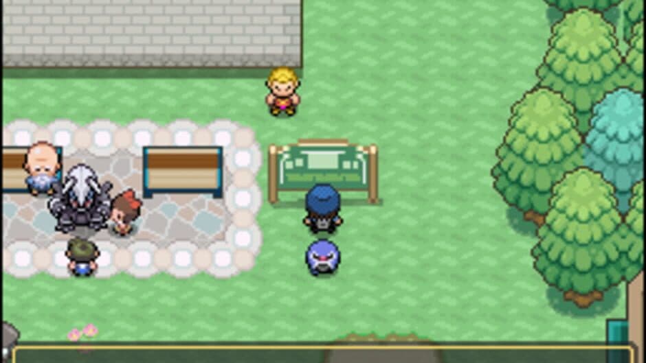 Скриншот 3 из Pokémon Floral Tempus EX