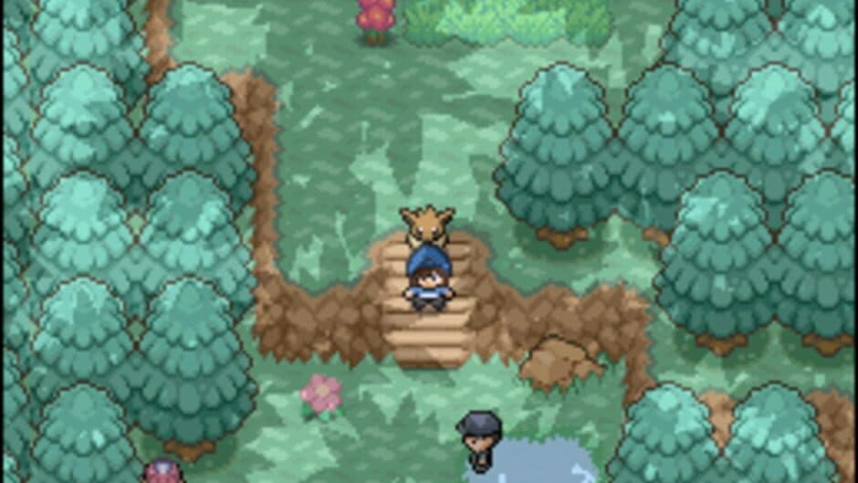 Скриншот 4 из Pokémon Floral Tempus EX