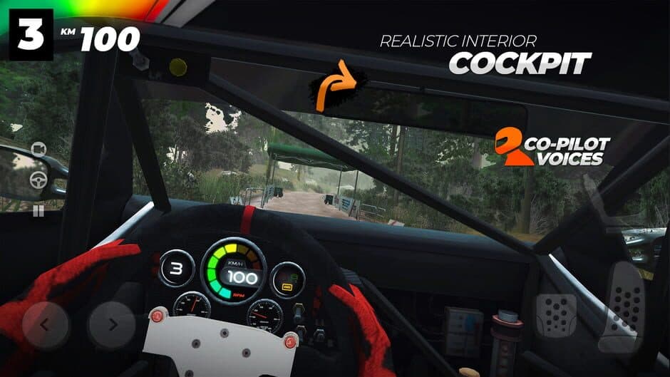 Скриншот 1 из Real Rally