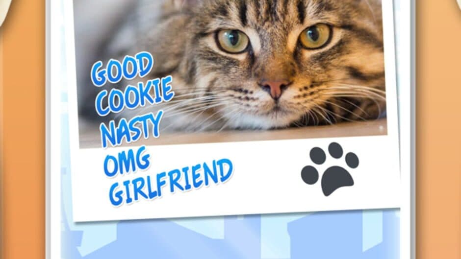 Скриншот 3 из Word Cats