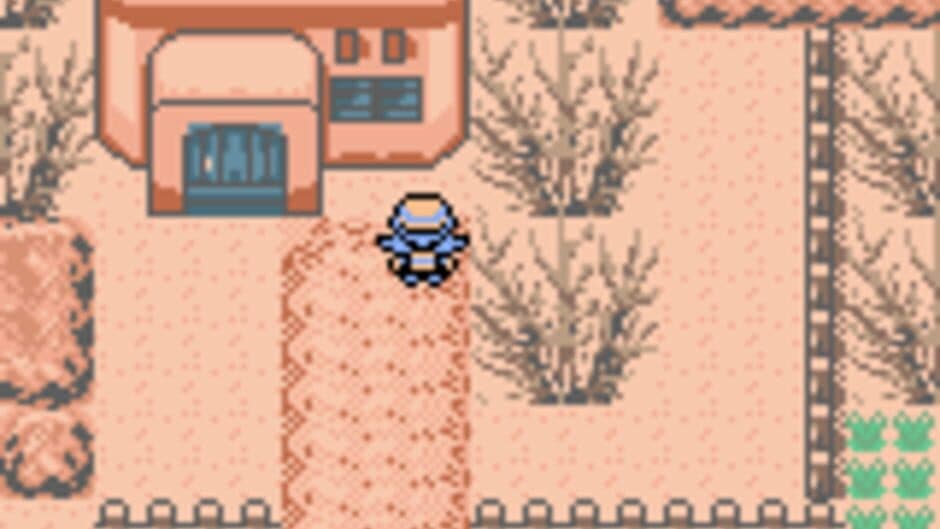 Скриншот 1 из Pokémon Black & White 3: Genesis