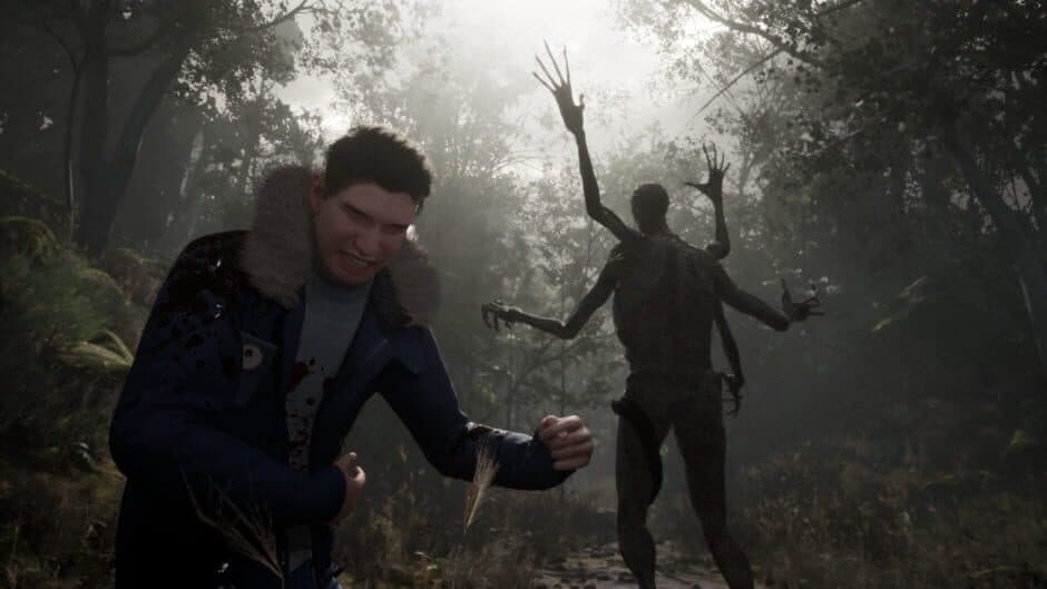 Скриншот 1 из Stray Souls