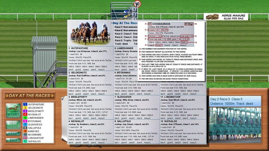 Скриншот 4 из Day at the Races