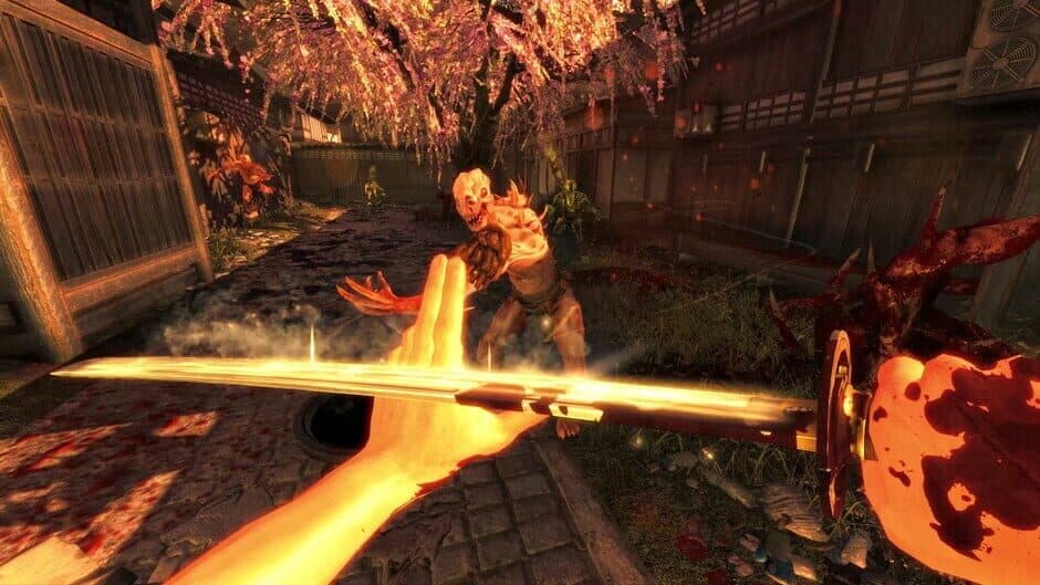 Скриншот 4 из The Shadow Warrior Trilogy