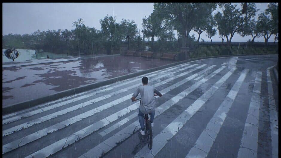 Скриншот 8 из Vanishing Shadow