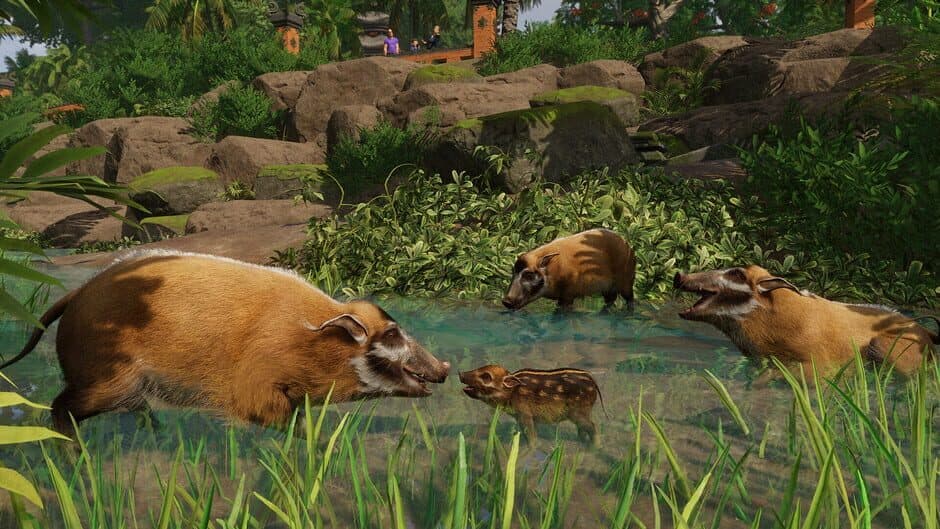 Скриншот 2 из Planet Zoo: Tropical Pack