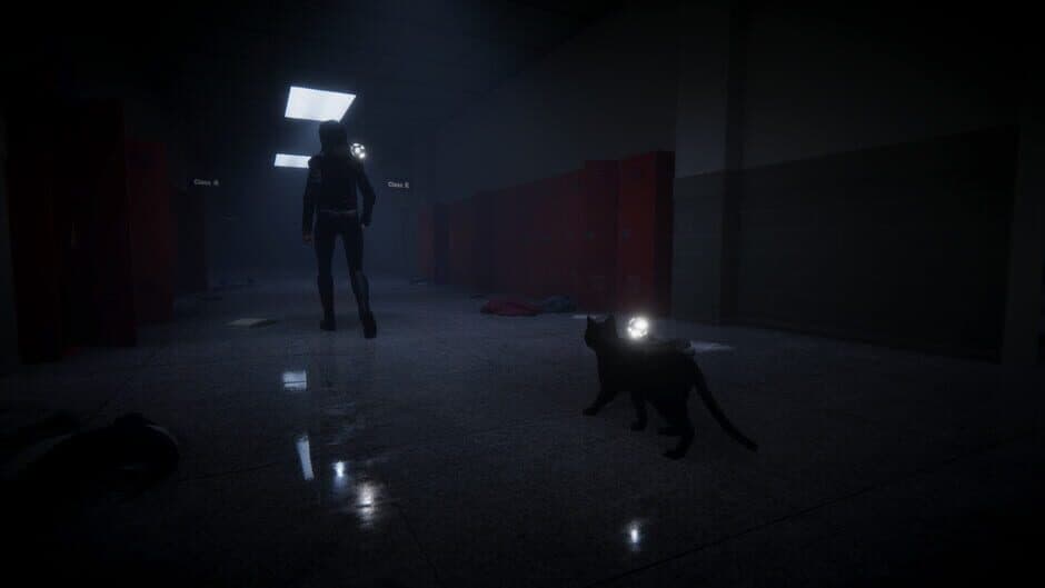 Скриншот 9 из Cursed Night