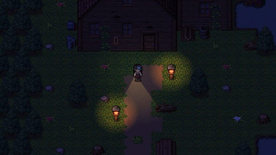Скриншот 1 из The Clown's Forest 2: Waking Shadows