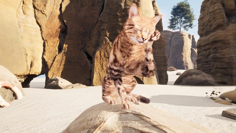 Скриншот 1 из Super Cat Simulator