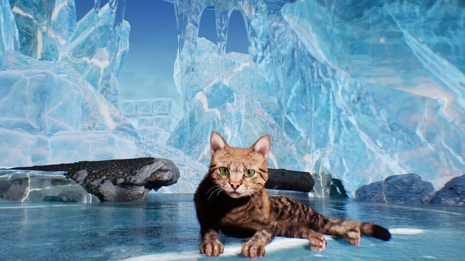 Скриншот 2 из Super Cat Simulator
