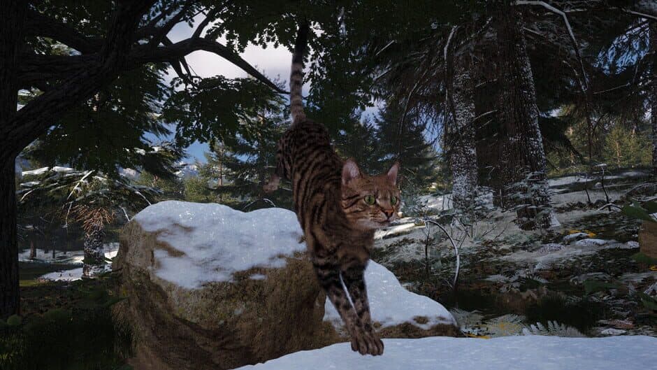 Скриншот 4 из Super Cat Simulator