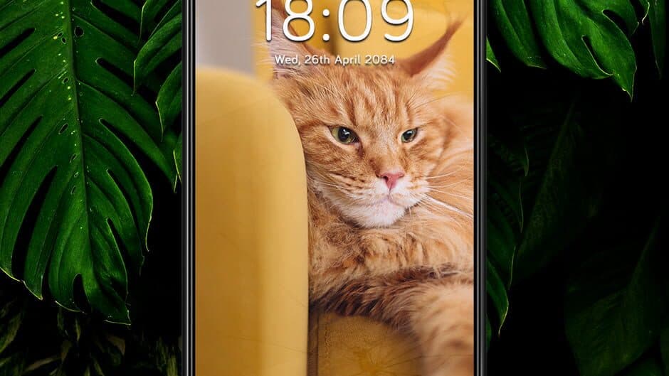 Скриншот 2 из A Phone Found in Tall Grass