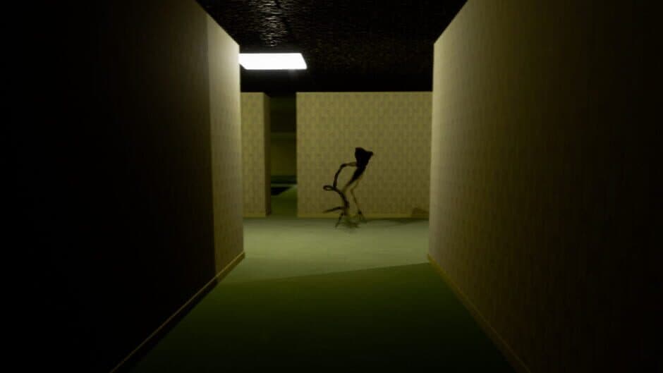 Скриншот 1 из Backrooms Project: The Lost File