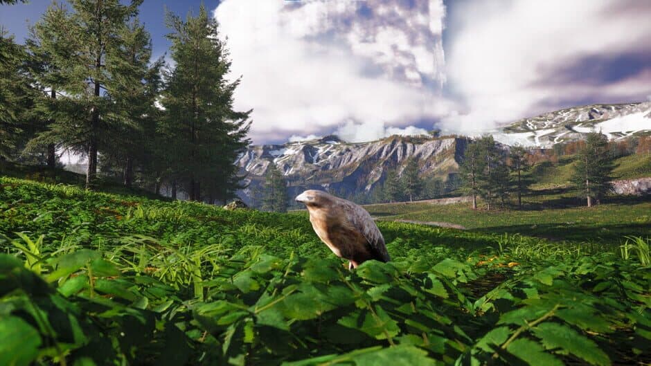 Скриншот 1 из Bird's Eye Odyssey