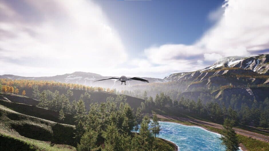 Скриншот 2 из Bird's Eye Odyssey