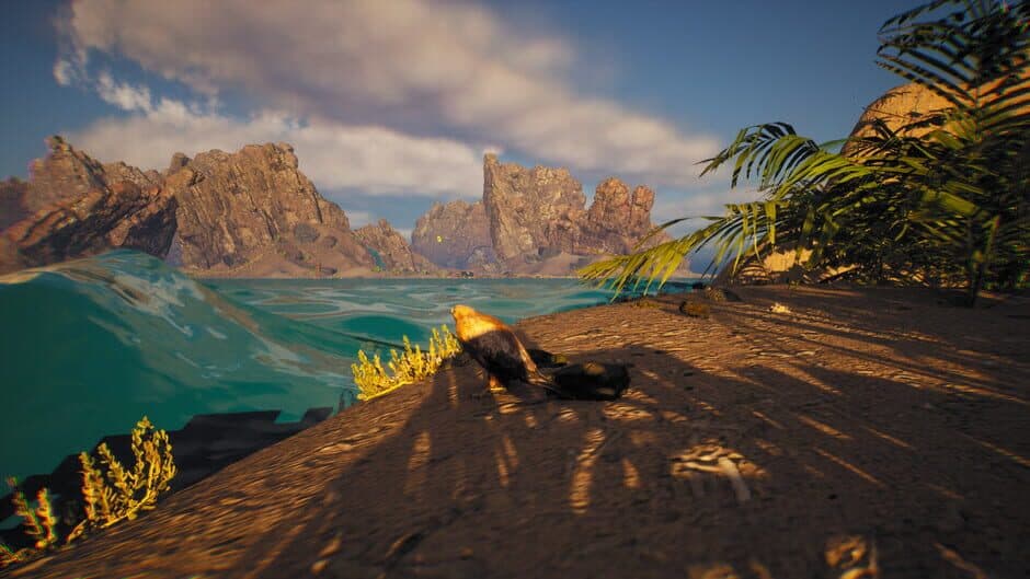 Скриншот 3 из Bird's Eye Odyssey