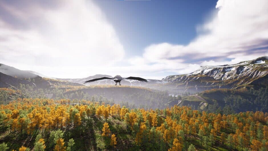 Скриншот 8 из Bird's Eye Odyssey