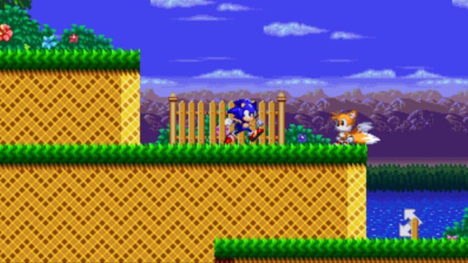 Скриншот 1 из Sonic: Project Survival