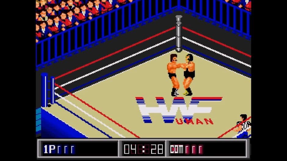 Скриншот 3 из Thunder Pro Wrestling Retsuden