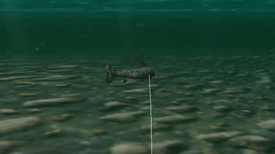 Скриншот 3 из Reel Fishing: Wild