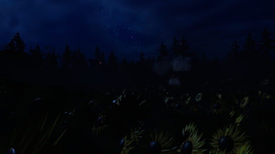 Скриншот 3 из The Moonflower