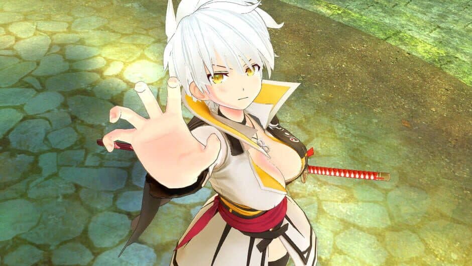 Скриншот 1 из Senran Kagura Burst Re:Newal - Miyabi Character and Campaign