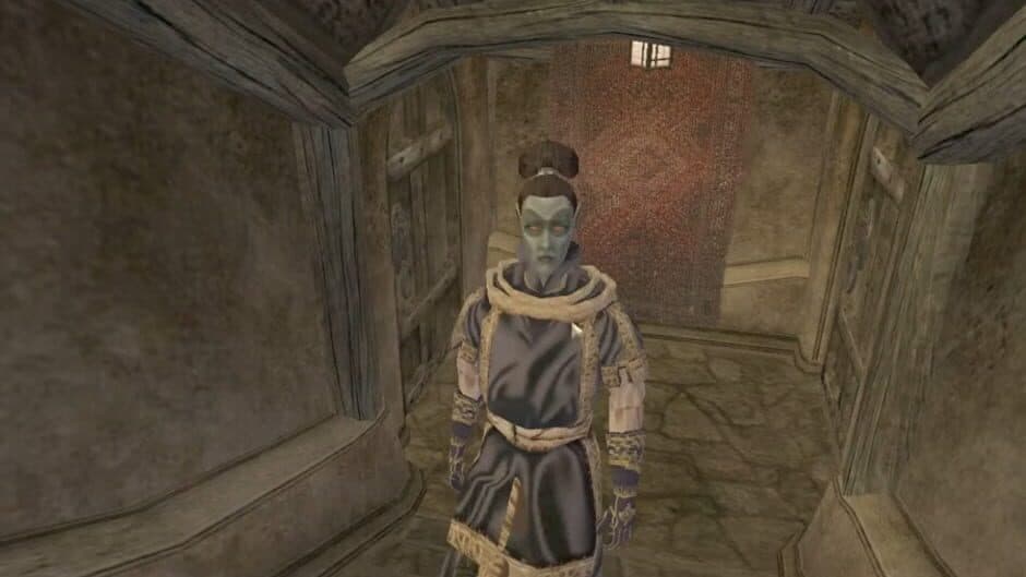 Скриншот 1 из The Elder Scrolls III: Morrowind - Entertainers