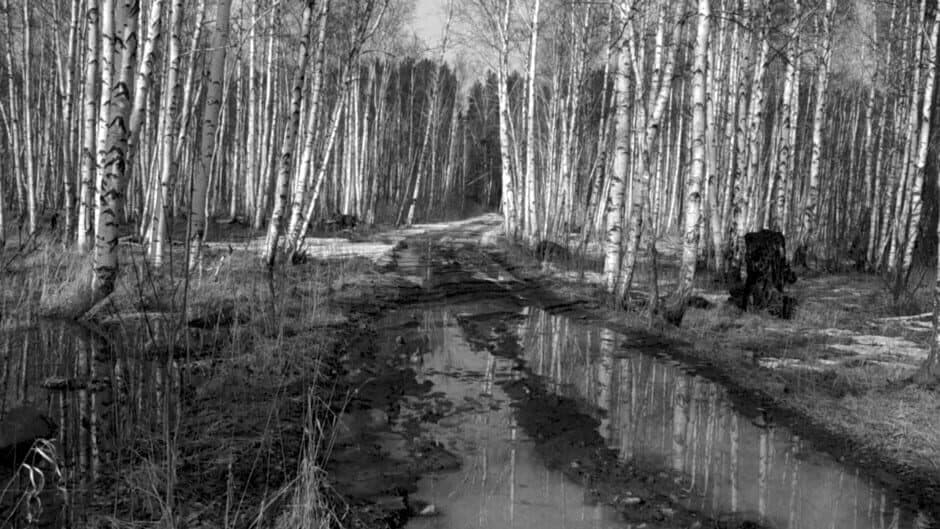Скриншот 4 из Russian Psychiatric Pastoral