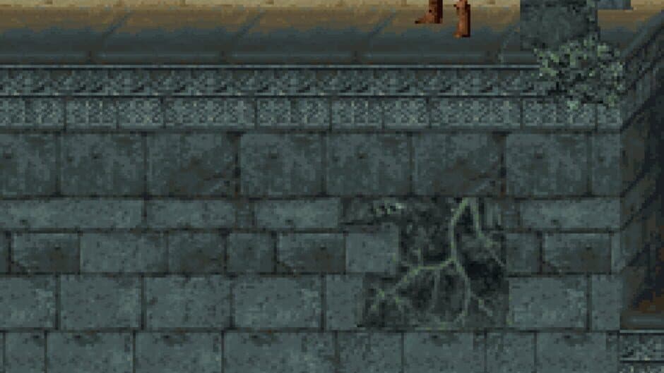 Скриншот 2 из Prince of Persia Classic