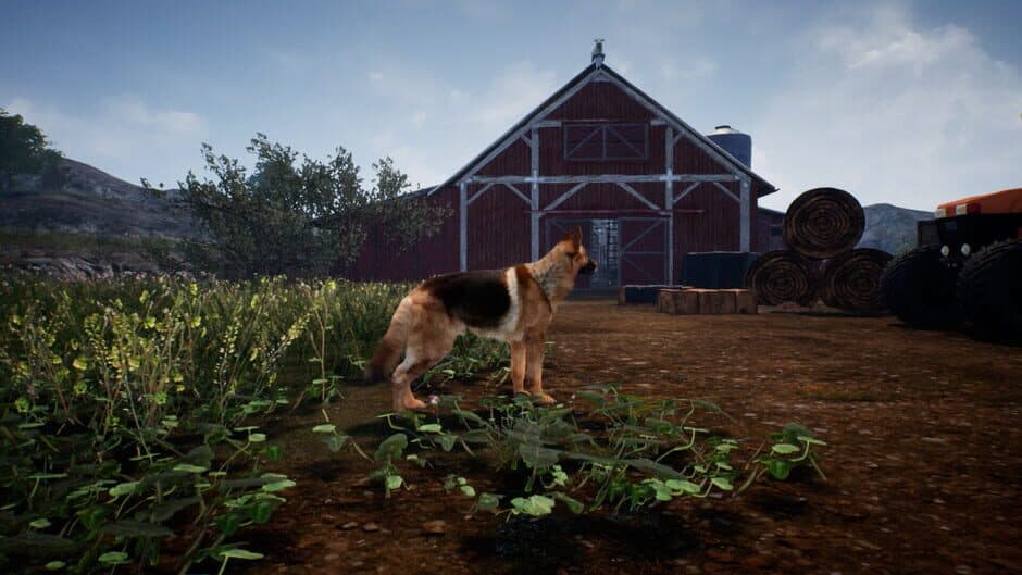 Скриншот 5 из Shepherd Dog