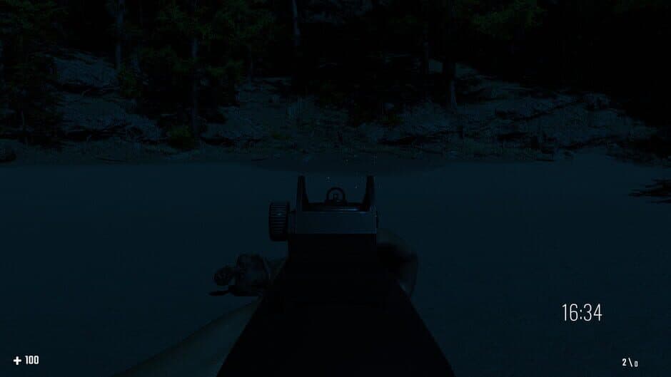 Скриншот 2 из When Night Comes