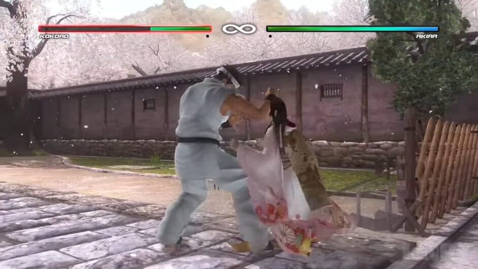 Скриншот 2 из Dead or Alive 5: Collector's Edition