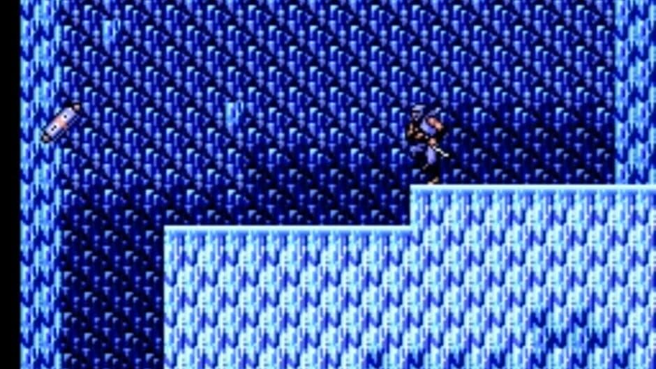 Скриншот 2 из Ninja Gaiden