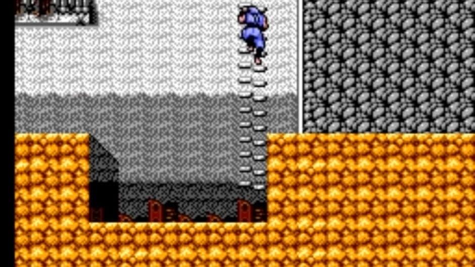 Скриншот 3 из Ninja Gaiden