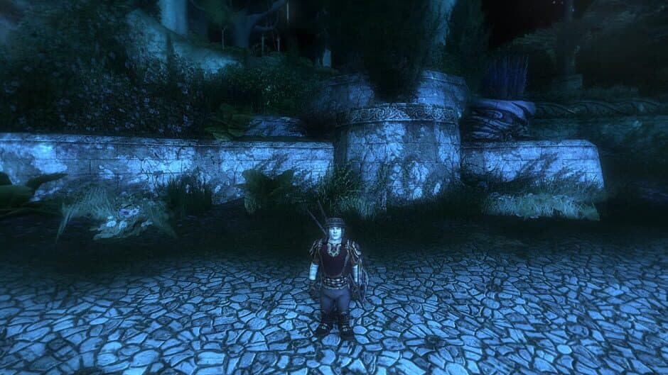 Скриншот 1 из The Lord of the Rings Online: Mithril Edition