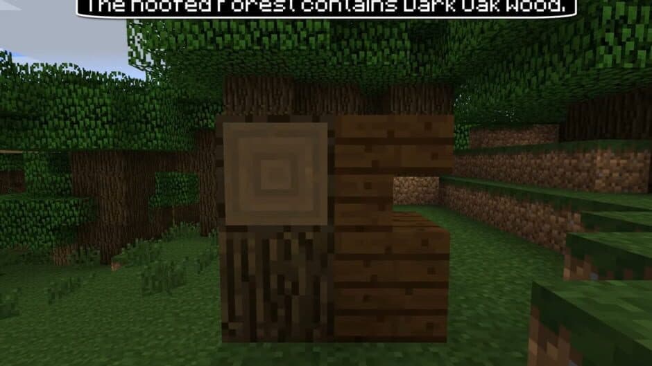 Скриншот 3 из Minecraft: The Update that Changed the World